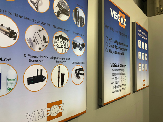 VEGAZ